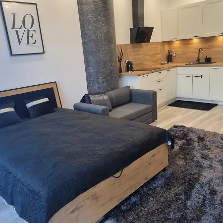 Hanza Apartmenty * שצ'צ'ין